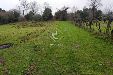 Helårsgrund i Valenca, Viana do Castelo, Valenca - € 65.000 | Ref: AV6647 - foto 10