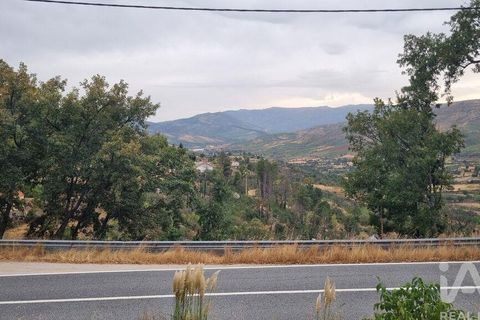 Farm i Guarda, Guarda, Guarda - € 49.800 | Ref: 830925 - foto 5