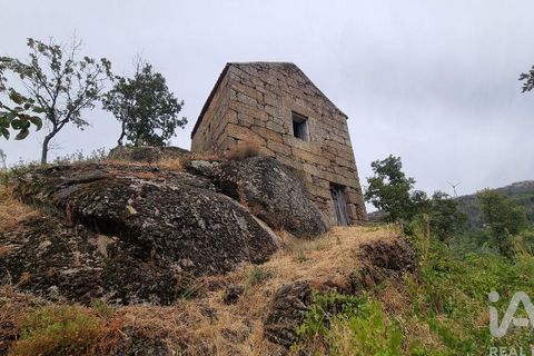 Farm i Guarda, Guarda, Guarda - € 49.800 | Ref: 830925 - foto 16