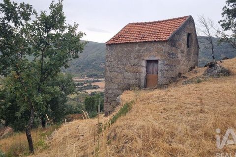 Farm i Guarda, Guarda, Guarda - € 49.800 | Ref: 830925 - foto 17