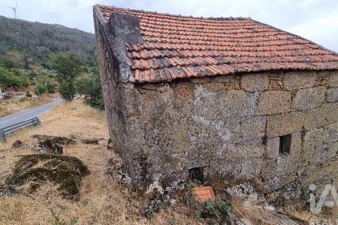 Farm i Guarda, Guarda, Guarda - € 49.800 | Ref: 830925 - foto 18