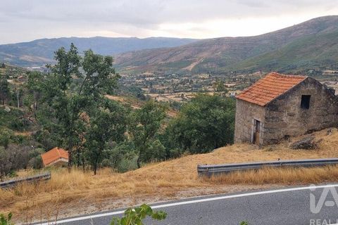 Farm i Guarda, Guarda, Guarda - € 49.800 | Ref: 830925 - foto 22