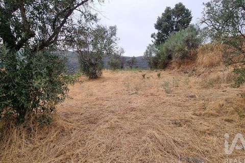 Farm i Guarda, Guarda, Guarda - € 49.800 | Ref: 830925 - foto 28
