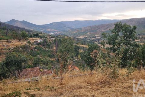 Farm i Guarda, Guarda, Guarda - € 49.800 | Ref: 830925 - foto 29