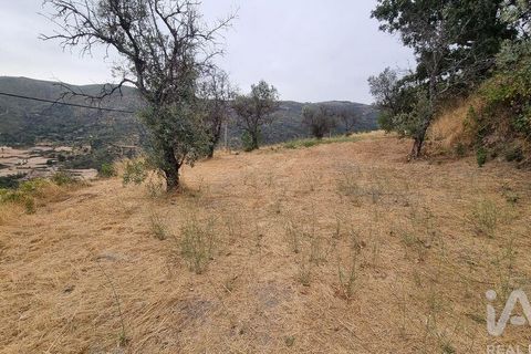 Farm i Guarda, Guarda, Guarda - € 49.800 | Ref: 830925 - foto 30