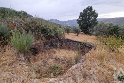 Farm i Guarda, Guarda, Guarda - € 49.800 | Ref: 830925 - foto 31