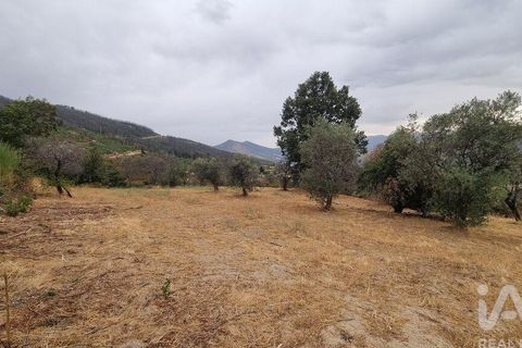 Farm i Guarda, Guarda, Guarda - € 49.800 | Ref: 830925 - foto 32