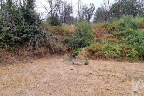 Farm i Guarda, Guarda, Guarda - € 49.800 | Ref: 830925 - foto 33