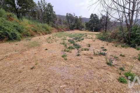 Farm i Guarda, Guarda, Guarda - € 49.800 | Ref: 830925 - foto 34