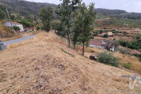 Farm i Guarda, Guarda, Guarda - € 49.800 | Ref: 830925 - foto 35
