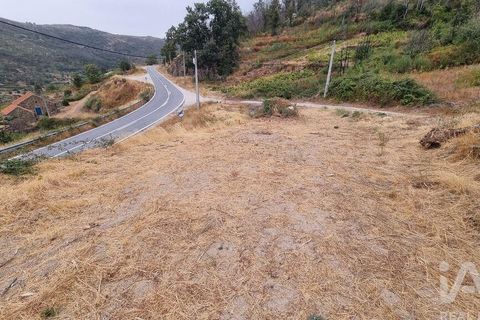 Farm i Guarda, Guarda, Guarda - € 49.800 | Ref: 830925 - foto 36