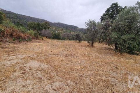 Farm i Guarda, Guarda, Guarda - € 49.800 | Ref: 830925 - foto 37