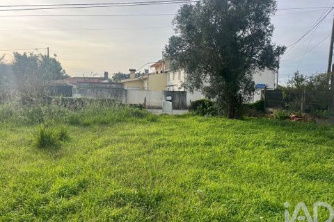 Helårsgrund i Ovar, Aveiro, Ovar - € 45.000 | Ref: 827724 - foto 2