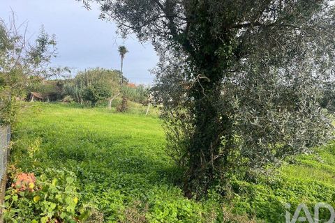 Helårsgrund i Ovar, Aveiro, Ovar - € 45.000 | Ref: 827724 - foto 3