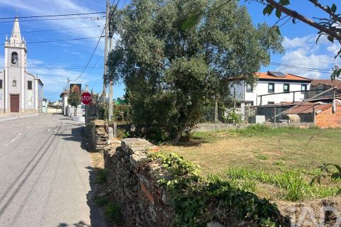 Helårsgrund i Ovar, Aveiro, Ovar - € 45.000 | Ref: 827724 - foto 4