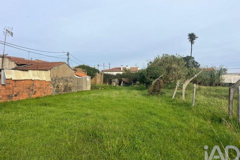 Helårsgrund i Ovar, Aveiro, Ovar - € 45.000 | Ref: 827724 - foto 5