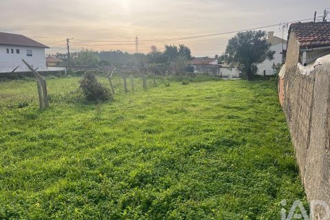Helårsgrund i Ovar, Aveiro, Ovar - € 45.000 | Ref: 827724 - foto 7