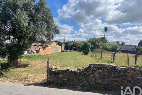 Helårsgrund i Ovar, Aveiro, Ovar - € 45.000 | Ref: 827724 - foto 9
