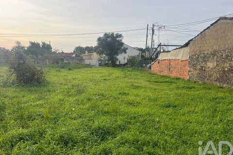 Helårsgrund i Ovar, Aveiro, Ovar - € 45.000 | Ref: 827724 - foto 11