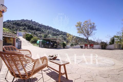 Villa a Sayalonga, Malaga, Sayalonga - € 480.000 | Ref: VH2603 - foto 45