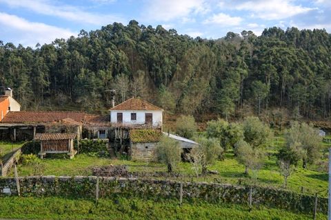 Landejendom i Ponte de Lima, Viana do Castelo, Ponte de Lima - € 155.000 | Ref: V419 - foto 5
