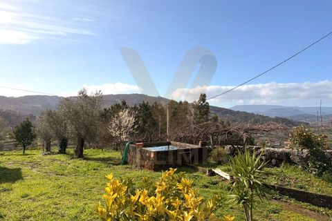 Landejendom i Ponte de Lima, Viana do Castelo, Ponte de Lima - € 155.000 | Ref: V419 - foto 6