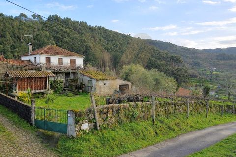Landejendom i Ponte de Lima, Viana do Castelo, Ponte de Lima - € 155.000 | Ref: V419 - foto 8