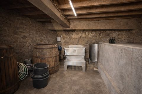 Landejendom i Ponte de Lima, Viana do Castelo, Ponte de Lima - € 155.000 | Ref: V419 - foto 19