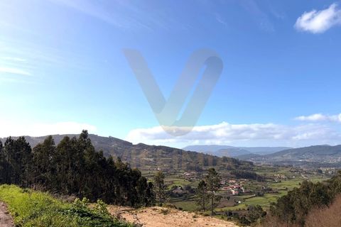 Landejendom i Ponte de Lima, Viana do Castelo, Ponte de Lima - € 155.000 | Ref: V419 - foto 23
