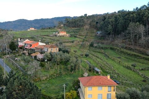 Landejendom i Ponte de Lima, Viana do Castelo, Ponte de Lima - € 155.000 | Ref: V419 - foto 29