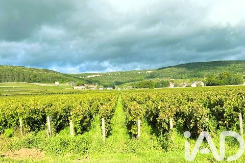 Villa a Vougeot, Cote-d'Or, Vougeot - € 595.000 | Ref: 88291 - foto 17