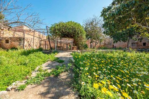 Finca i Puntiro, Mallorca, Puntiro - € 2.500.000 | Ref: FALC-Nep-60247 - foto 3