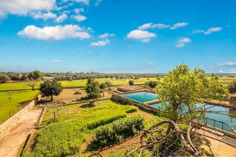 Finca i Puntiro, Mallorca, Puntiro - € 2.500.000 | Ref: FALC-Nep-60247 - foto 4