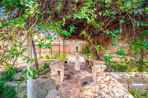 Finca i Puntiro, Mallorca, Puntiro - € 2.500.000 | Ref: FALC-Nep-60247 - foto 12