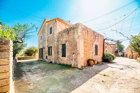 Finca i Puntiro, Mallorca, Puntiro - € 2.500.000 | Ref: FALC-Nep-60247 - foto 14