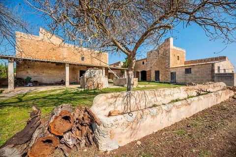 Finca i Puntiro, Mallorca, Puntiro - € 2.500.000 | Ref: FALC-Nep-60247 - foto 15