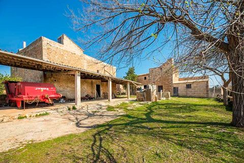 Finca i Puntiro, Mallorca, Puntiro - € 2.500.000 | Ref: FALC-Nep-60247 - foto 16