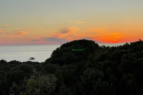 Byhus i Lagoa, Faro, Lagoa - € 615.000 | Ref: WI-0141 - foto 24