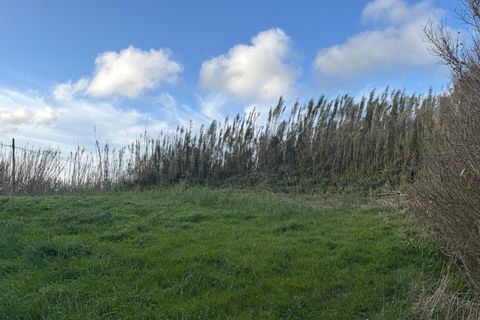 Byhus i Horta, Faial, Horta - € 60.000 | Ref: 1159 - foto 5