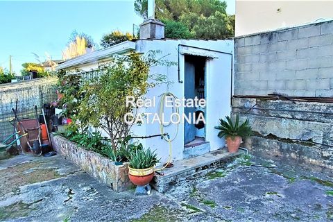 Villa i Lloret De Mar, Gerona, Lloret De Mar - € 315.000 | Ref: VC-4189 - foto 13