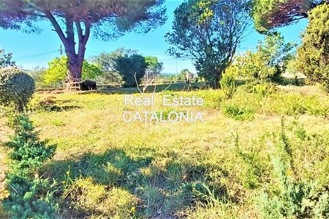Villa i Lloret De Mar, Gerona, Lloret De Mar - € 360.000 | Ref: VC-4186 - foto 38