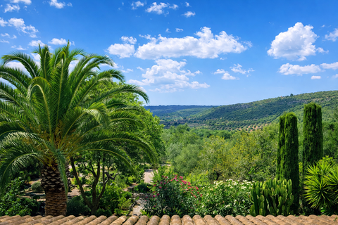 Landejendom i Manacor, Mallorca, Manacor - € 1.290.000 | Ref: KPNO1011 - foto 13