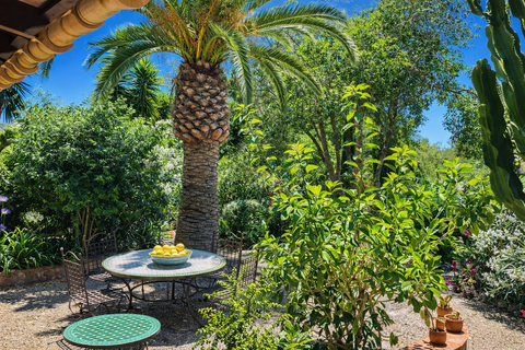 Landejendom i Manacor, Mallorca, Manacor - € 1.290.000 | Ref: KPNO1011 - foto 14