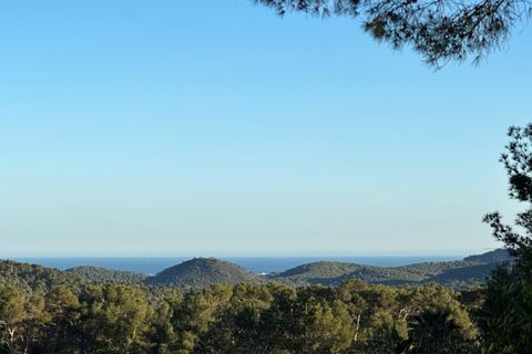Landejendom i Manacor, Mallorca, Manacor - € 4.950.000 | Ref: KPNO994 - foto 10