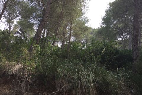 Terra a Canyamel, Mallorca, Canyamel - € 180.000 | Ref: KPNO949 - foto 6
