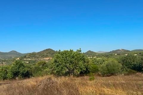 Terrain - Son Servera, Mallorca, Son Servera - € 850 000 | Réf : KPNO948 - photo 12