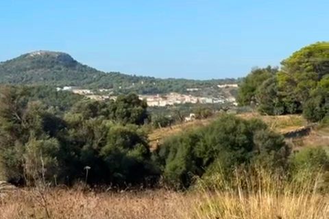 Terrain - Son Servera, Mallorca, Son Servera - € 850 000 | Réf : KPNO948 - photo 13