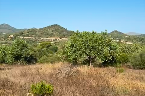 Terrain - Son Servera, Mallorca, Son Servera - € 850 000 | Réf : KPNO948 - photo 14