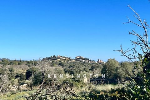 Landejendom i Arta, Mallorca, Arta - € 2.400.000 | Ref: KPNO932 - foto 13