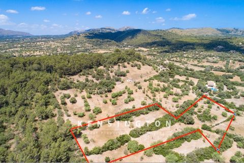 Masia a Arta, Mallorca, Arta - € 2.650.000 | Ref: KPNO925 - foto 10